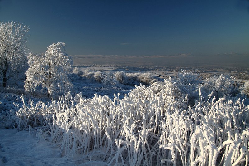 823 - hoar frost on hilltop - MC CANCE William - scotland.jpg